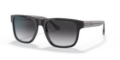 Emporio Armani Emporio 0EA4163 58758G 56/19