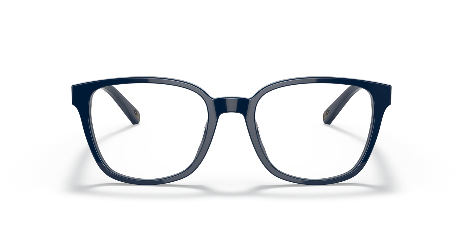 Coach 0HC6179U 563253/19