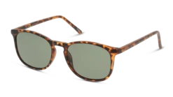 Seen SNSU0020 HHE054/19